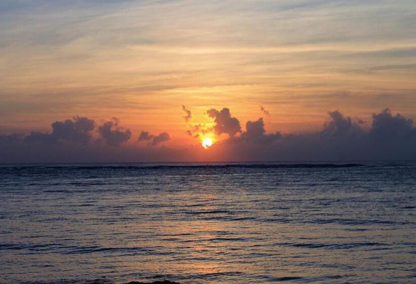 Deniz Manzaralı Delüks Oda, Cielo Maya Beach Tulum