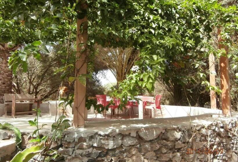 سوییت, Villa Morabeza Guest House