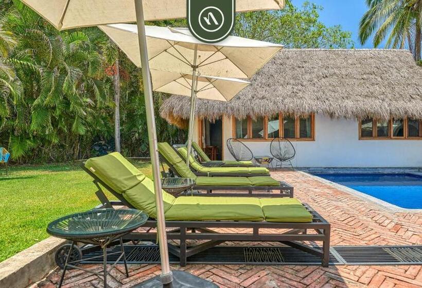 Sviitti, Bed And Breakfast Dormitory Room With Pool   Nuevo Vallarta