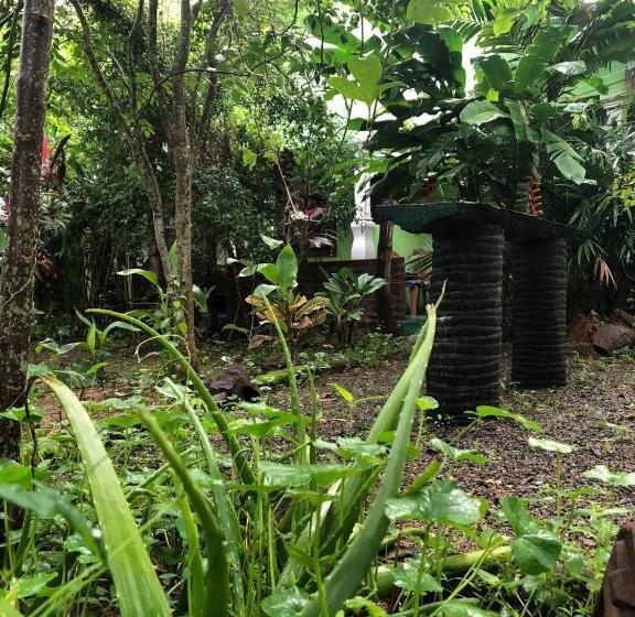اتاق استاندارد یک نفره, Forest Villa Nature Resort