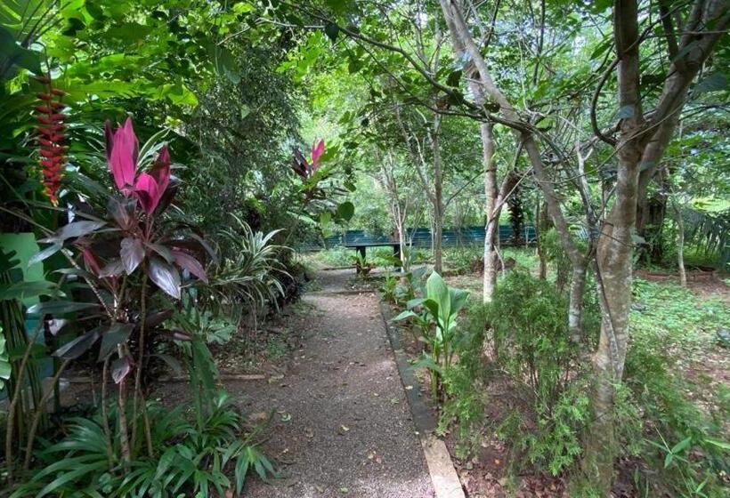 اتاق استاندارد, Forest Villa Nature Resort