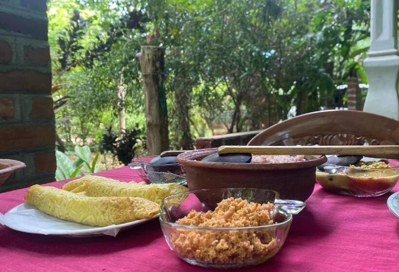 اتاق اکونومی, Forest Villa Nature Resort