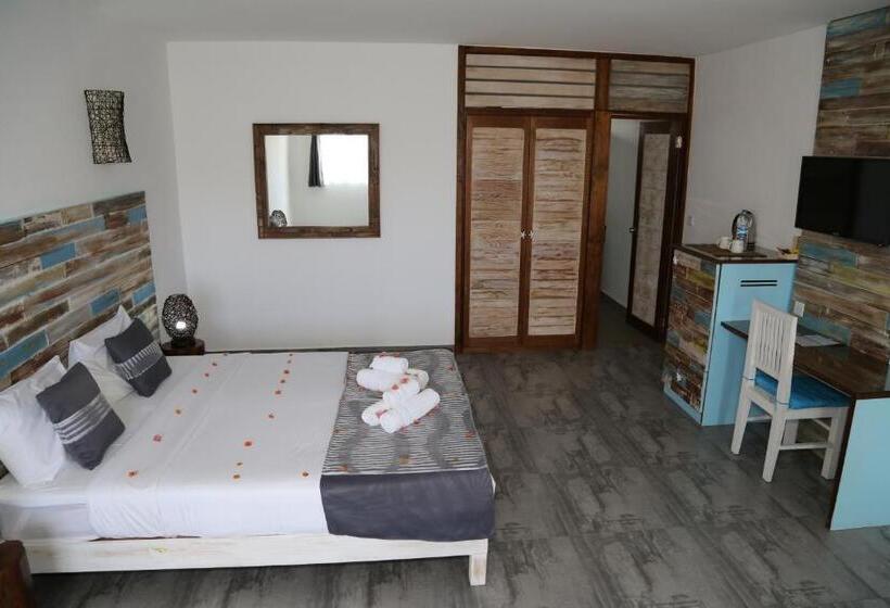 سوییت جونیور, Stella Rina Adults Only