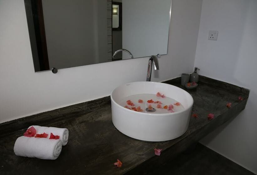 اتاق سوپریور, Stella Rina Adults Only