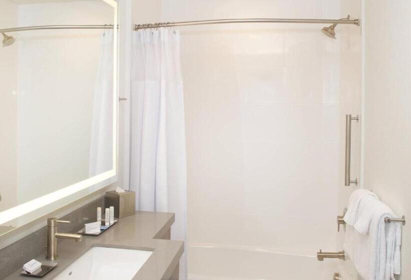 Suite Adaptată pentru Discapacitaţi, Springhill Suites By Marriott Bend