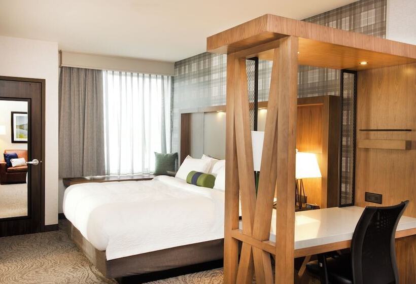 Suite Adaptată pentru Discapacitaţi, Springhill Suites By Marriott Bend
