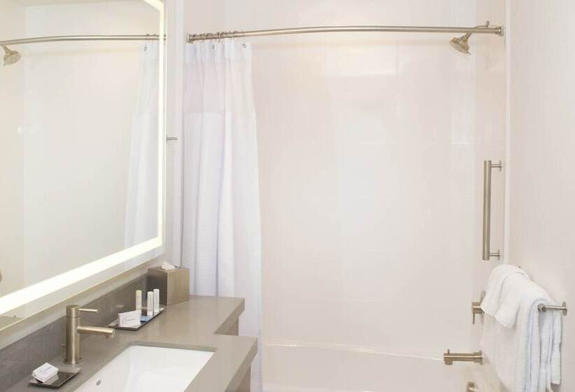 Suite Adaptată pentru Discapacitaţi, Springhill Suites By Marriott Bend