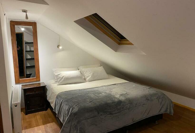Standard Stúdió Szoba, French Andes Apart Hostel