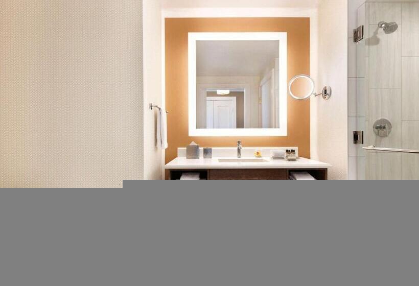 Juniorsviitti King-vuode, Fairmont Austin
