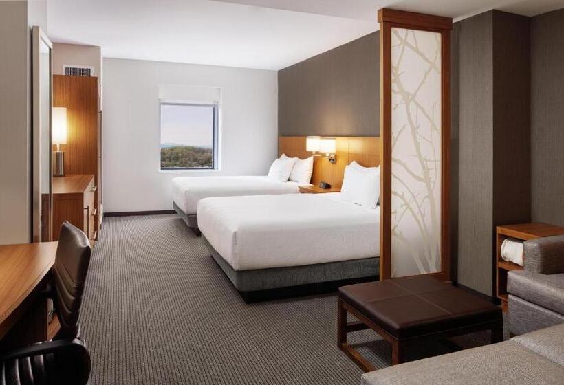 اتاق استاندارد برای معلولان, Hyatt Place Knoxville/downtown
