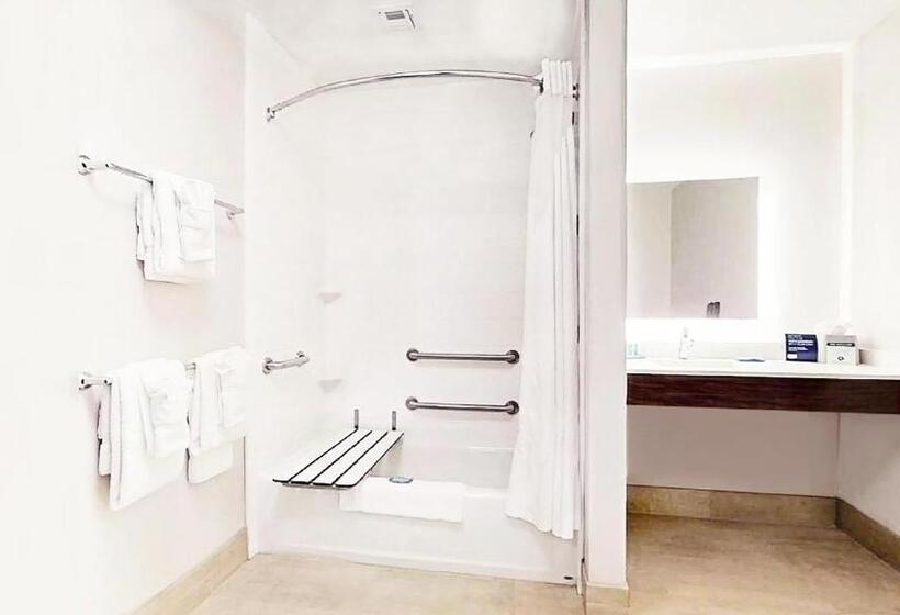 장애인을 위한 킹사이즈 침대 스탠다드 룸, Holiday Inn Express & Suites   Chalmette   New Orleans S, An Ihg