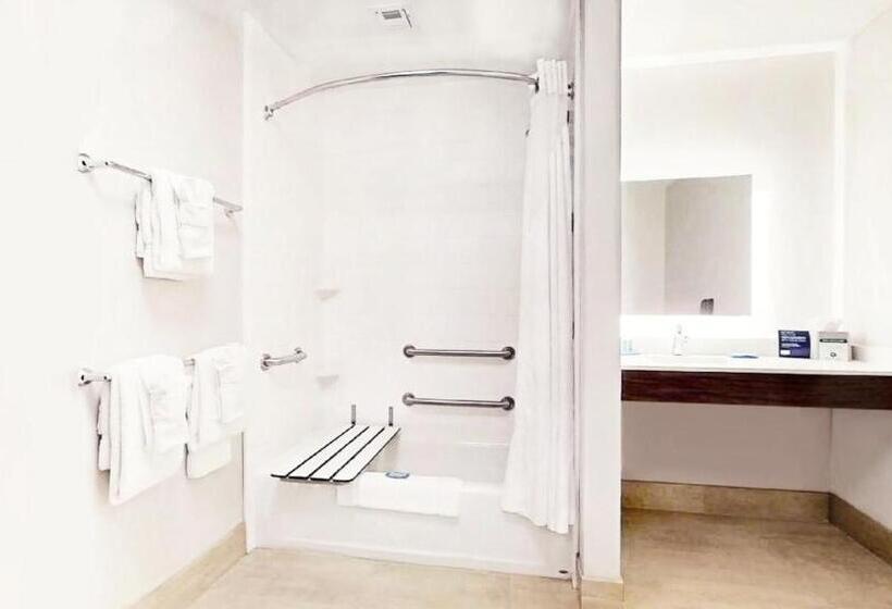장애인을 위한 스탠다드 룸, Holiday Inn Express & Suites   Chalmette   New Orleans S, An Ihg