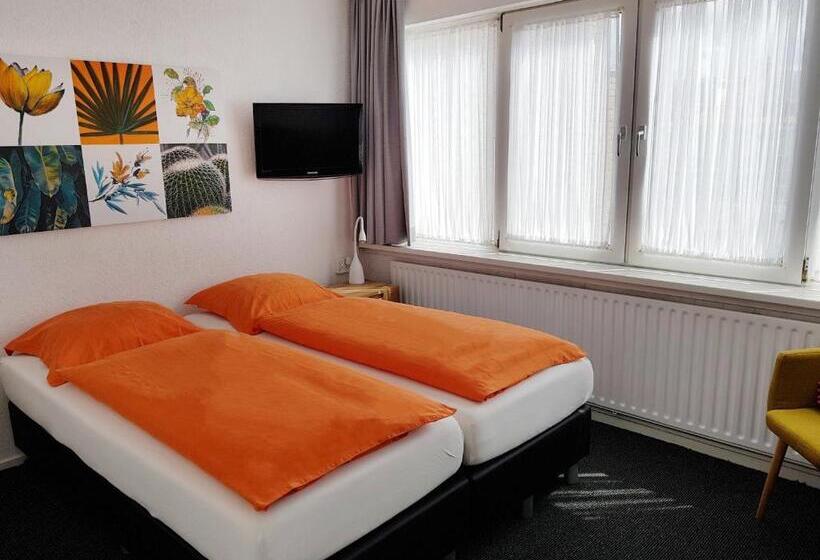 اتاق استاندارد, B&b Seahorse