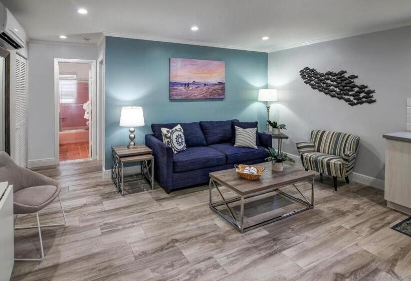 スタンダードスタジオ, Maydee Suites In Florida