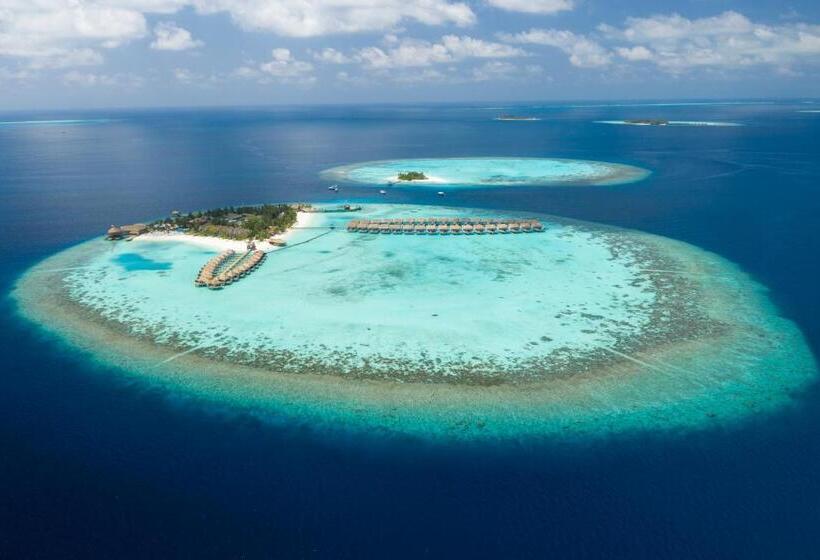ویلای 1 خوابه, Outrigger Maldives Maafushivaru Resort