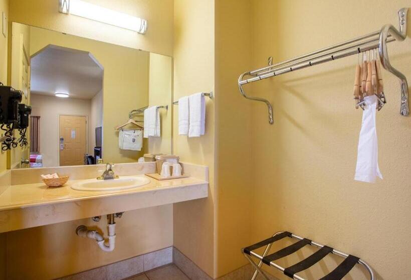 Номер Стандарт, OYO Hotel Valley View TX, I-35