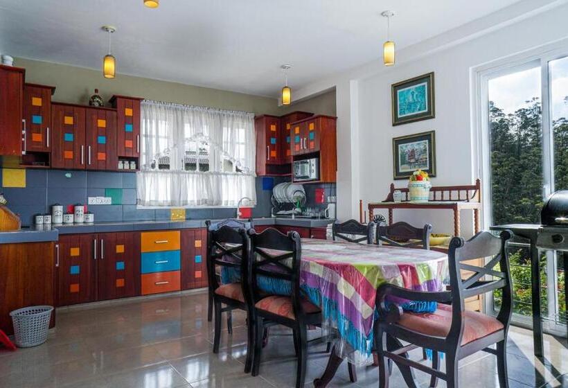 Номер Стандарт с Балконом, Hillneliya Resort