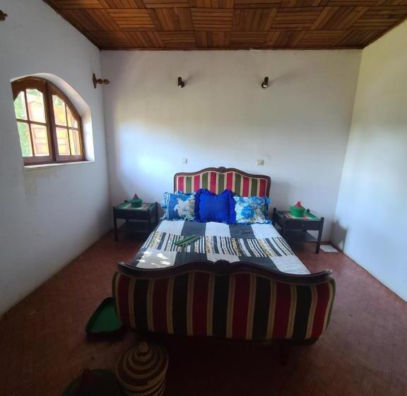 اتاق استاندارد, Louisiana Guest House