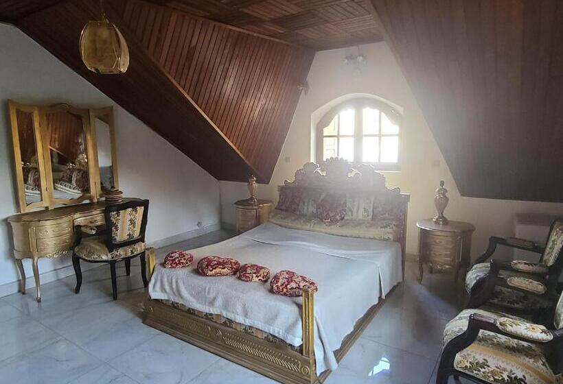 اتاق استاندارد, Louisiana Guest House