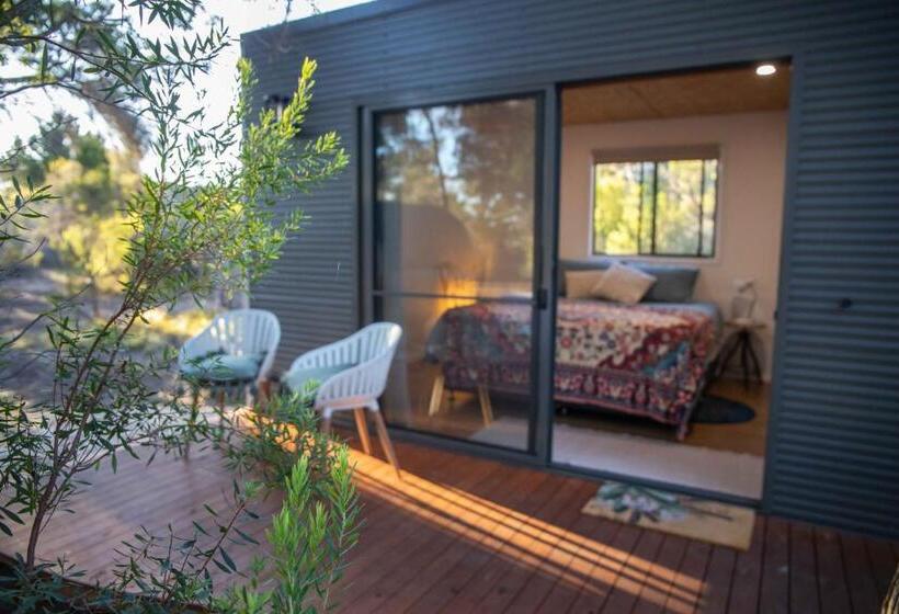 스탠다드 룸 킹사이즈 침대, Island Alive Guest House