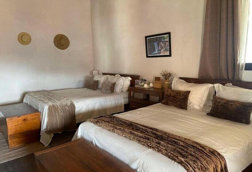 اتاق استاندارد با چشم‌انداز شهر, M Serenity Guest House