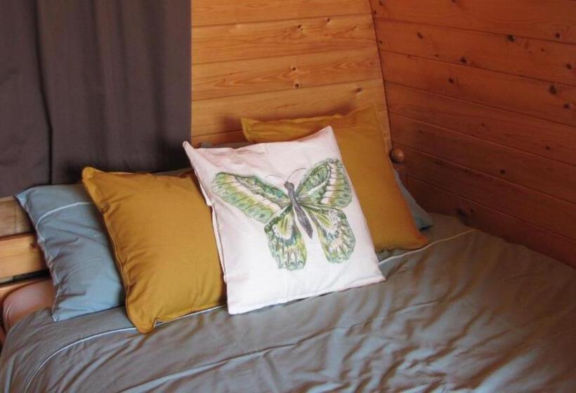 Номер Стандарт, Swifterlodge