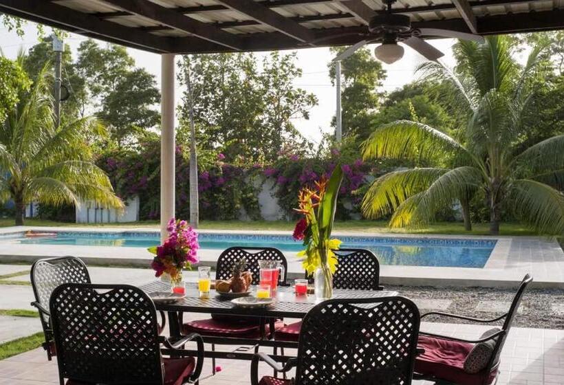 استودیوی استاندارد, Caracol Villas Sa