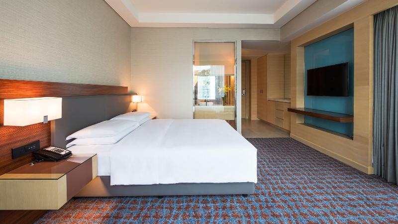 스탠다드 룸 킹사이즈 침대, Hyatt Regency Lucknow Gomti Nagar