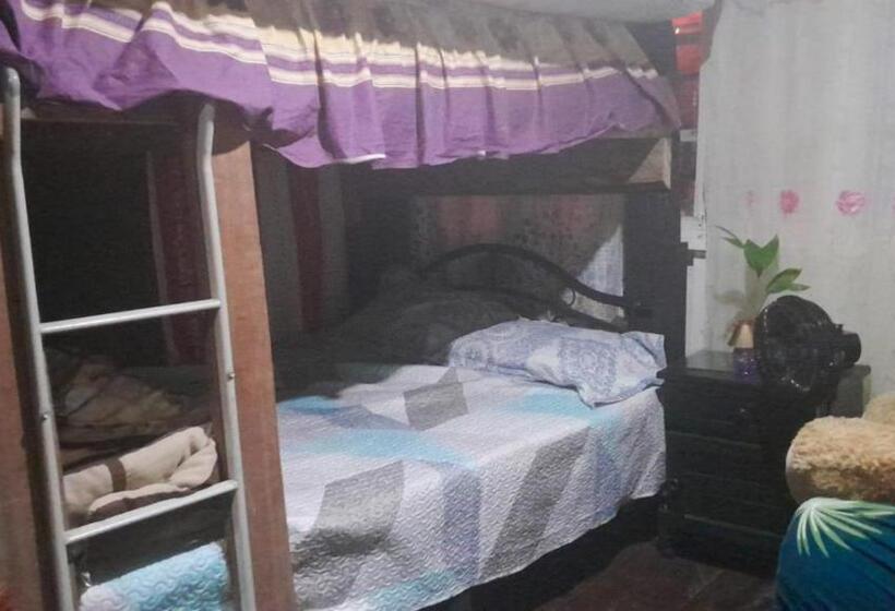 Номер Стандарт 2 Двуспальные Кровати, Hostal Cafe Axel