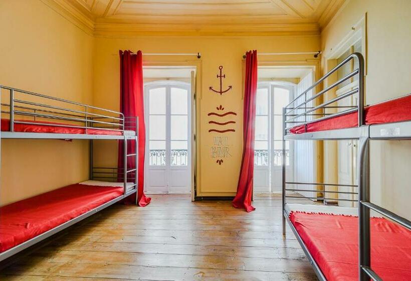 Кровать в Общей Комнате, Suntrap Hostel