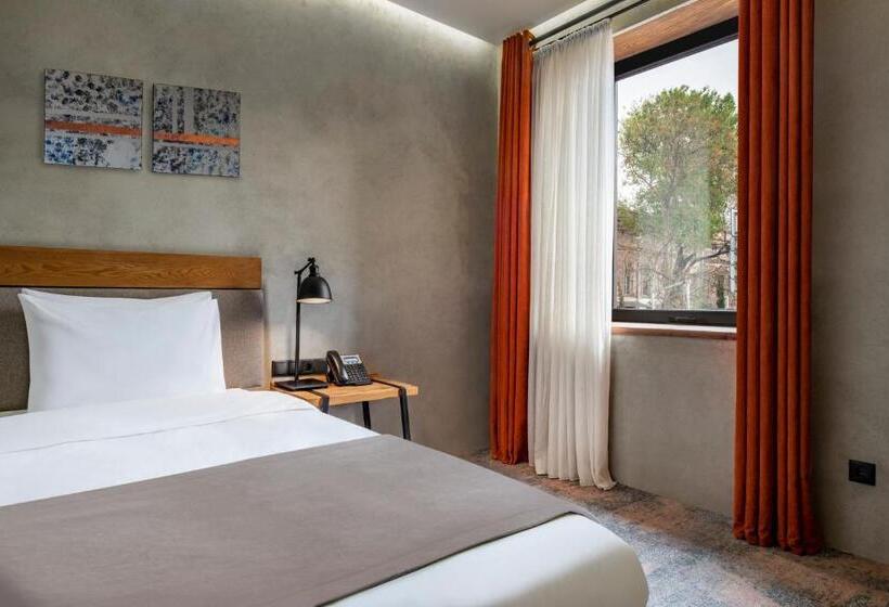 اتاق استاندارد یک تخته برای معلولان, Iota Hotel Tbilisi