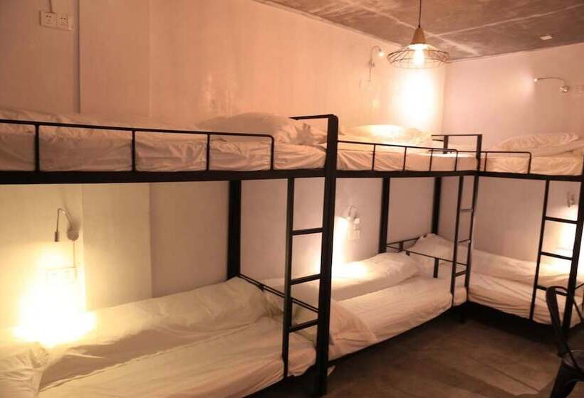 ルームシェアのワンベッド, Geographer Hostel