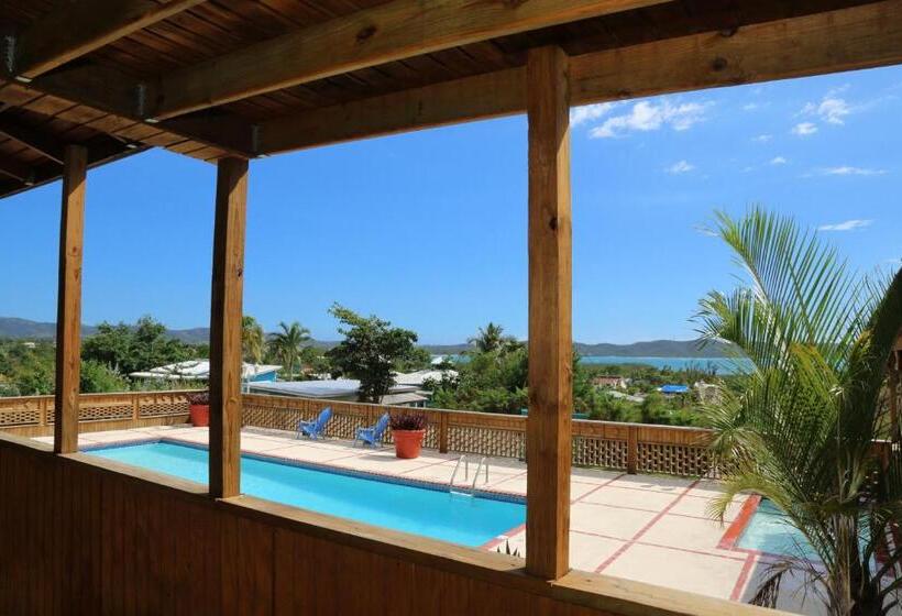 اتاق استاندارد با تخت بزرگ, West Coast Inn S