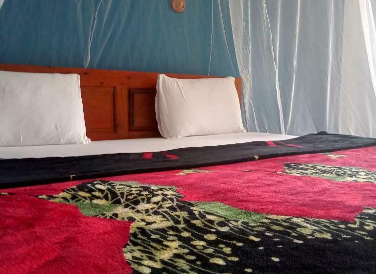 اتاق لوکس, The Horizon Root Inn