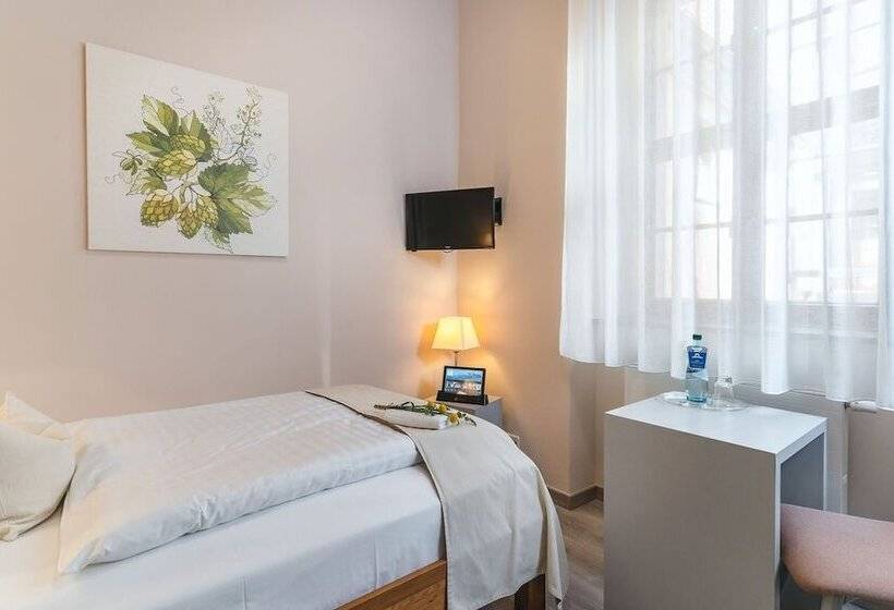 Номер Стандарт Индивидуальный, Pirnscher Hof   Hotel Garni