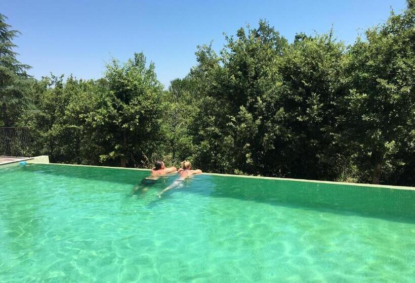 Студио Стандарт Вид на Бассейн, Sous Les Oliviers   Jacuzzi   Studios De Standing Tout équipés