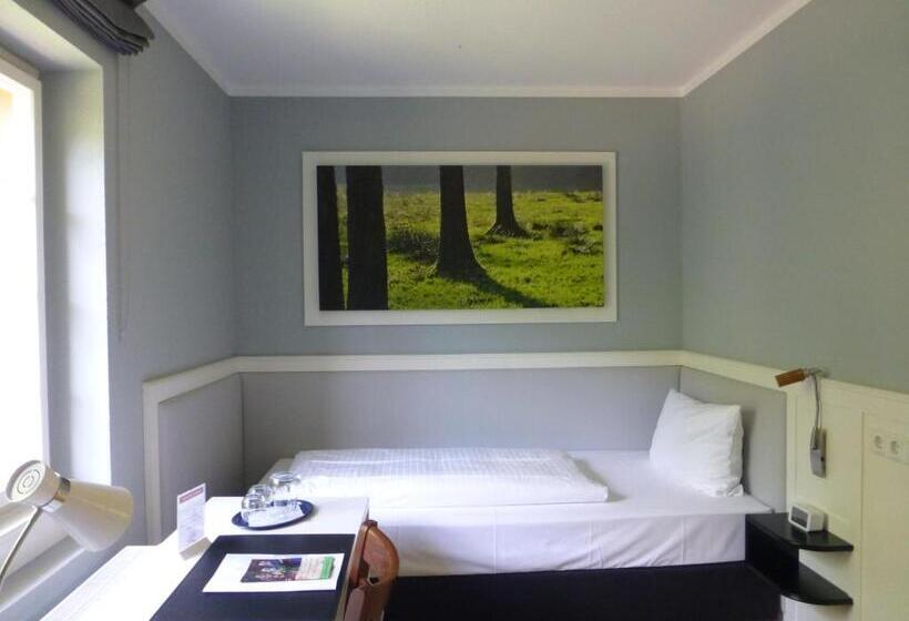 Номер Стандарт Индивидуальный, Jugendstilhotel Trifels