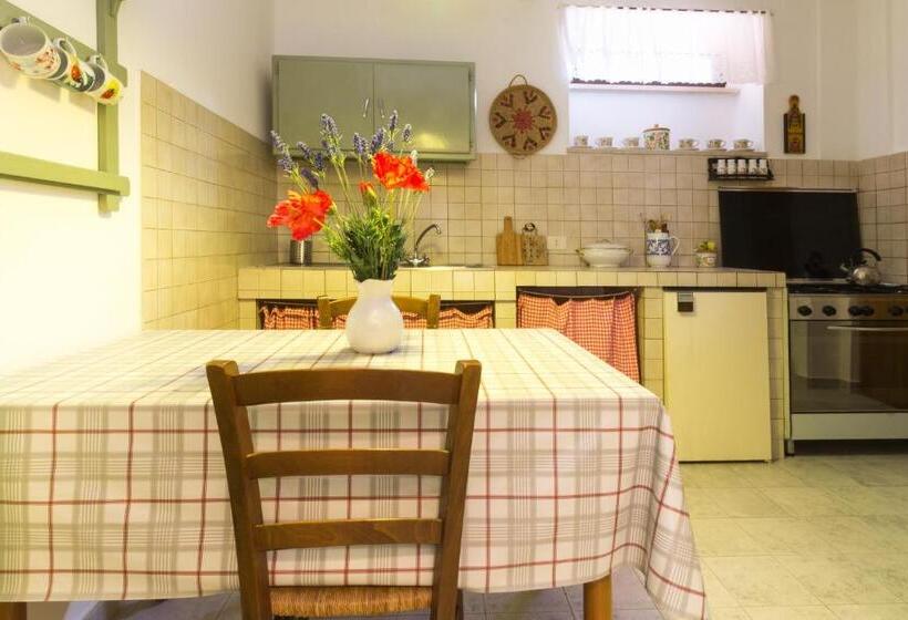 스탠다드 스튜디오, B&b Dimora Morelli