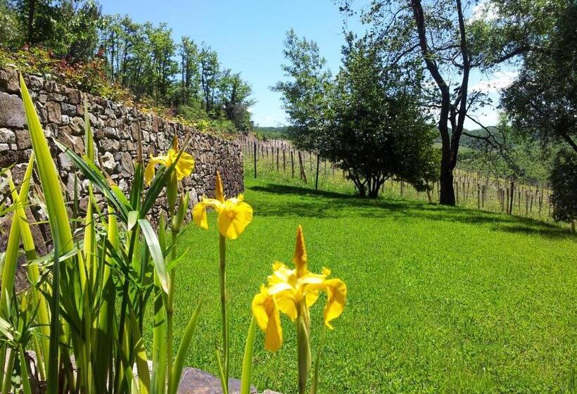 جناح, Fattoria Poggerino