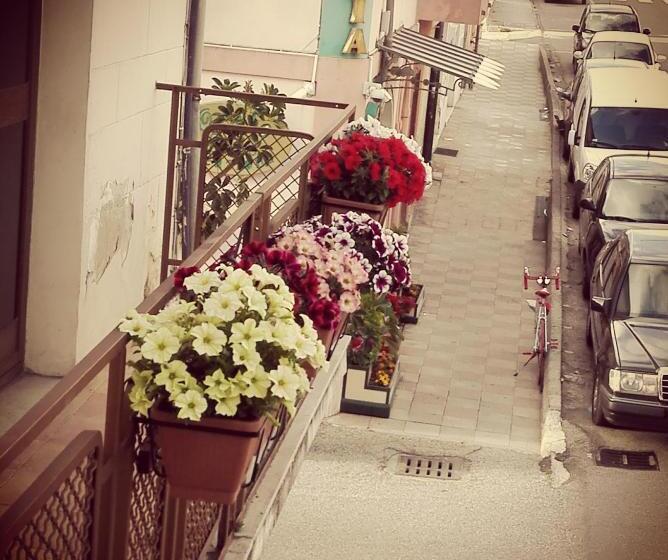 スーペリアシングルルーム, Albergo B&b Ristorante Grace