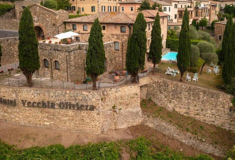 标准间, Vecchia Oliviera