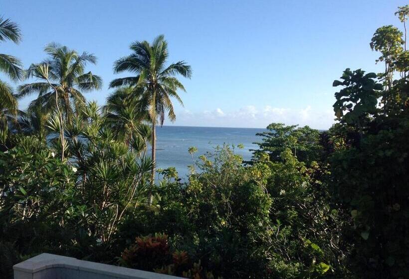 빌라 침실 1개, Taveuni Palms Resort