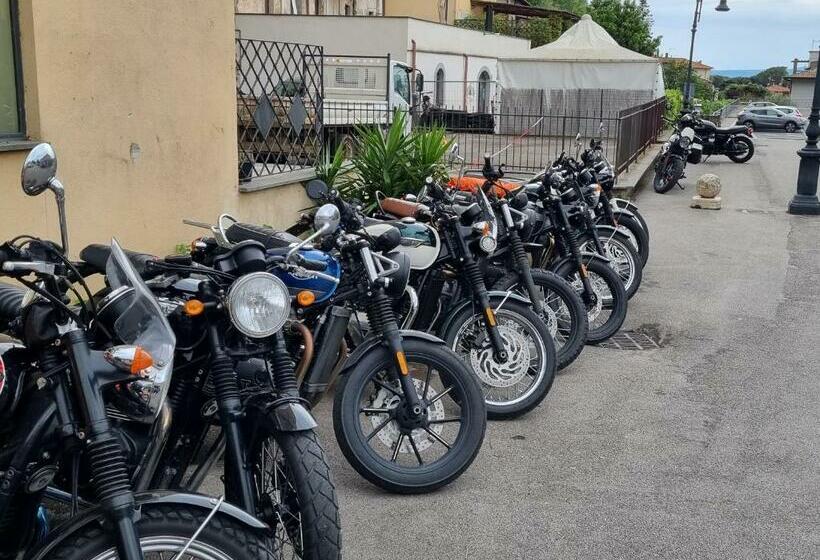 Номер Стандарт, Nazionale