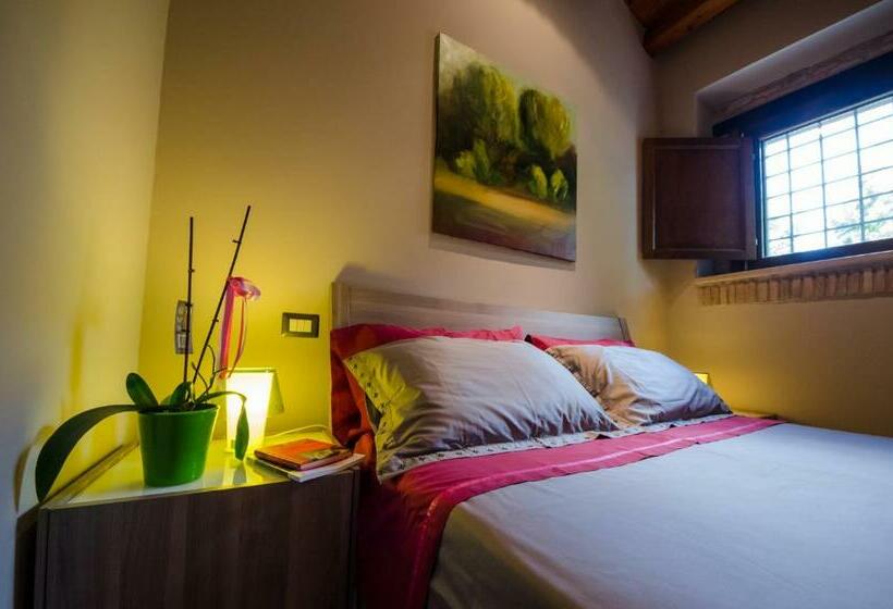 اتاق لوکس, B&b Le Streghe