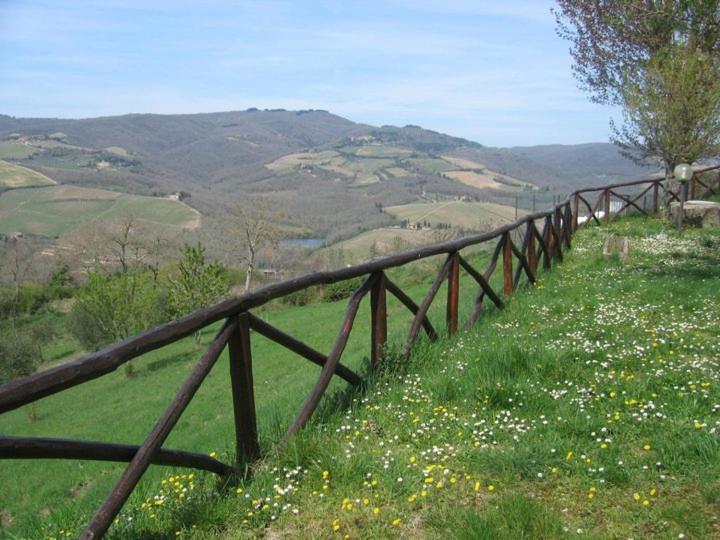 Студия Стандарт, Camere E Appartamenti Baldini Romanita