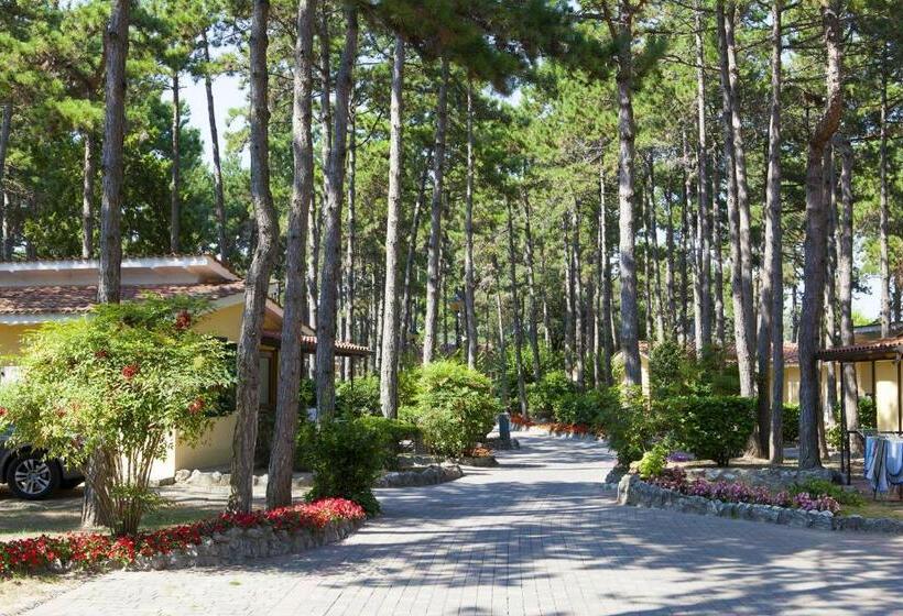 ویلای 2 خوابه, Villaggio Turistico Internazionale