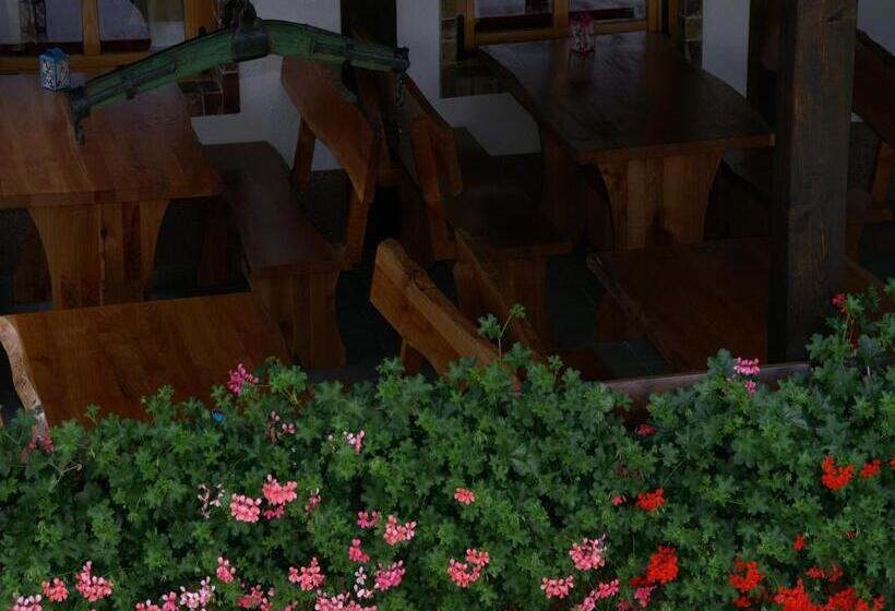 Апартаменты 1 Спальня с Террасой, Bed & Breakfast Helena