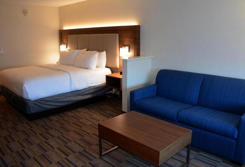 스위트 킹사이즈 침대, Holiday Inn Express & Suites   Pittsburgh   Monroeville, An Ihg