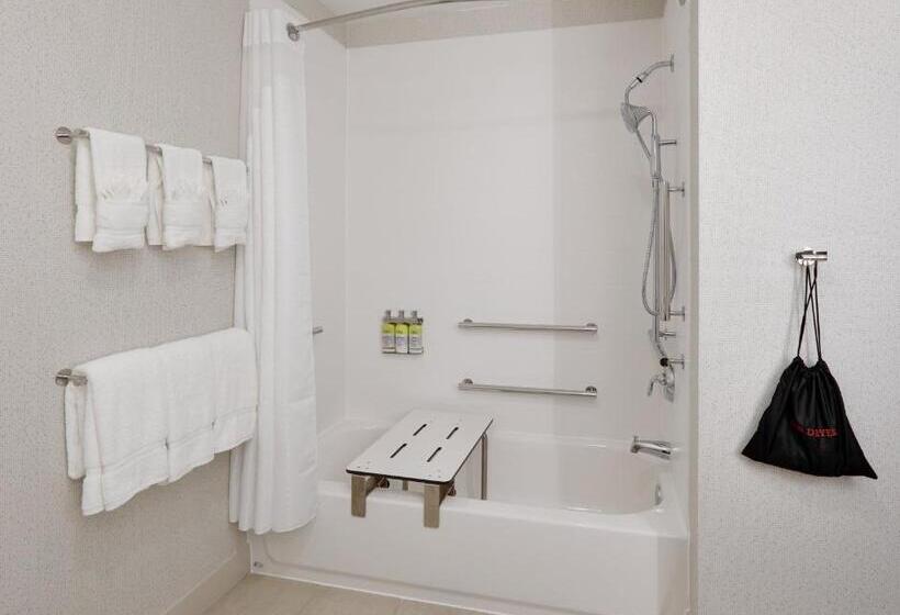 Номер Стандарт Адаптированный для Инвалидов, Holiday Inn Express & Suites Plano East   Richardson, An Ihg