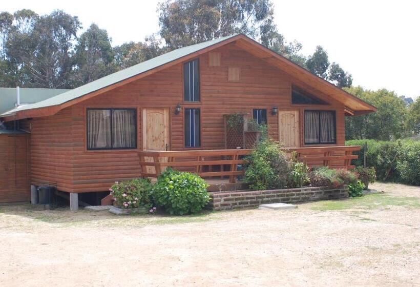 Бунгало Стандарт, Cabañas Barrachina, Punta De Tralca